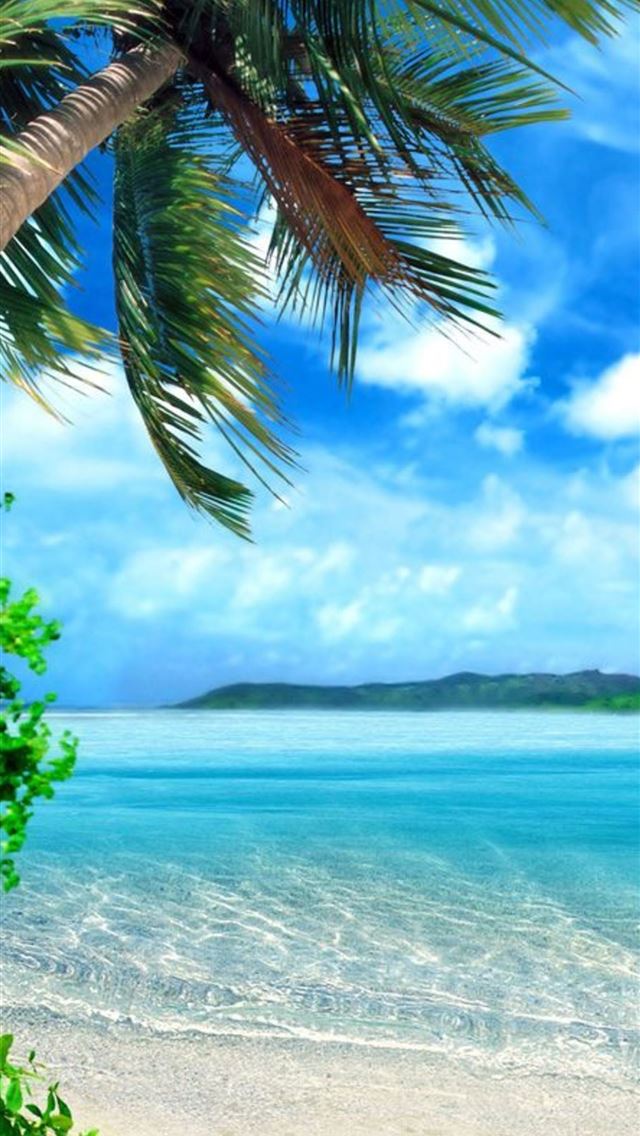 1284x2778 🌴ENJOY THE PALM LIFE🌴 - beach iPhone Wallpaper