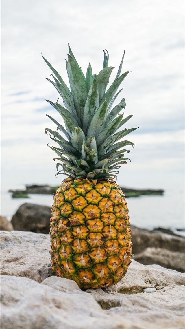 1284x2778 Pineapple Rocks Beach  - beach iPhone Wallpaper