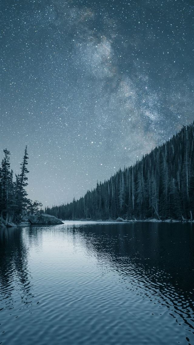 1284x2778 Night out lake forest nature - lake iPhone Wallpaper