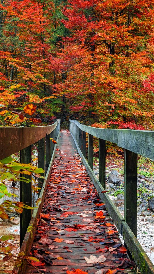 1284x2778 Fall Bridge - fall iPhone Wallpaper