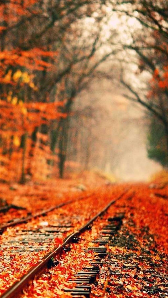 1284x2778 Fall Awesome Free HD - fall iPhone Wallpaper