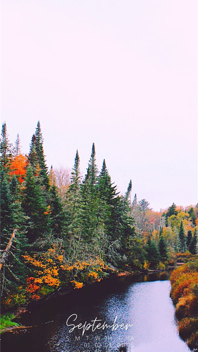 1284x2778 Fall Halloween Phone Background for Iphone - fall iPhone Wallpaper
