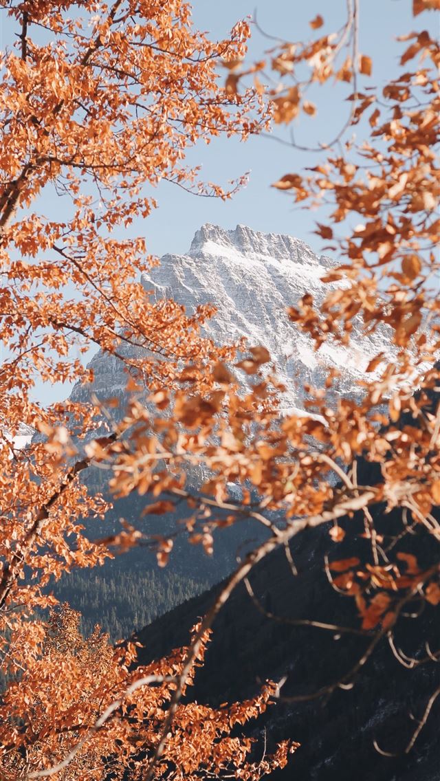 1284x2778 Best iOS 14 Fall For Your Home Screen Aesthetic - fall iPhone Wallpaper