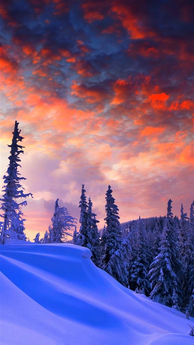 1284x2778 sun rise - sun rise iPhone Wallpaper