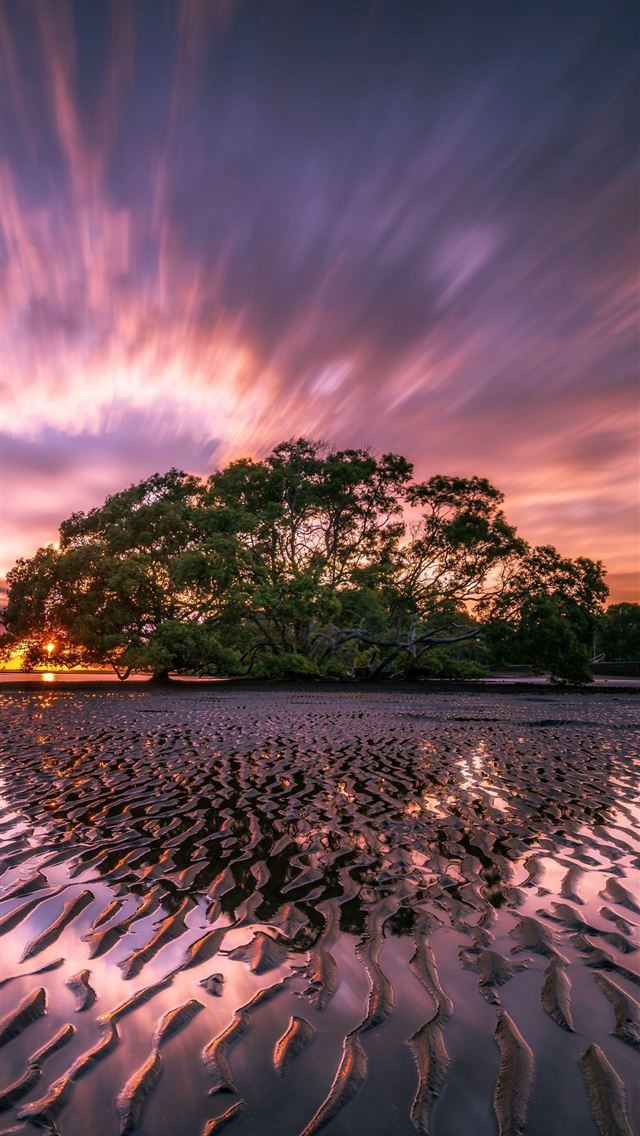 1284x2778 sun rise - sun rise iPhone Wallpaper
