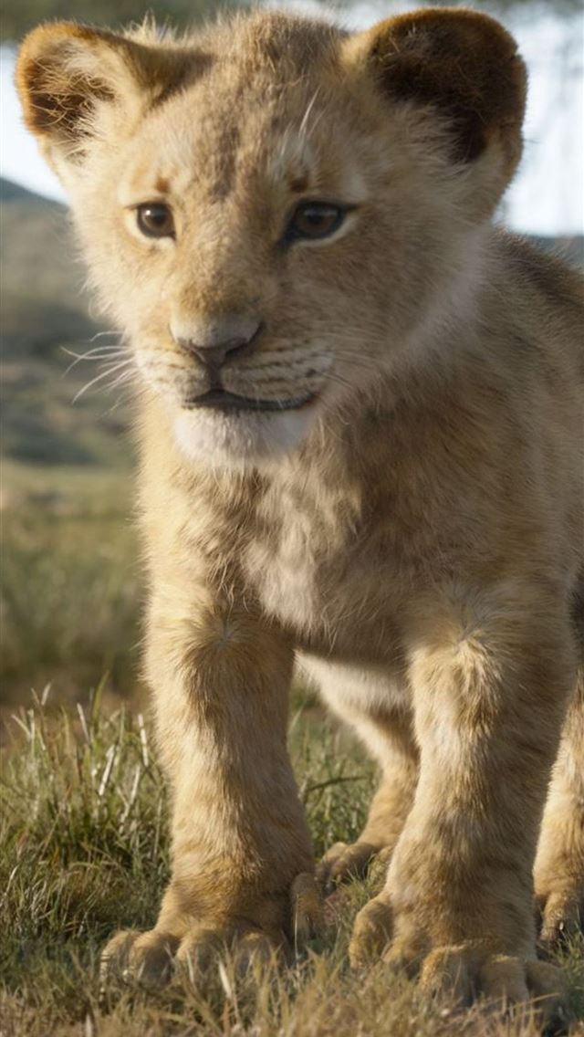 1284x2778 lion king 2019 - lion king 2019 iPhone Wallpaper