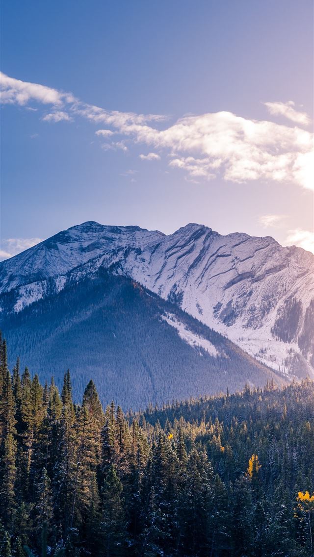 1284x2778 banff national park mountains forest trees sunligh... - banff national park iPhone Wallpaper