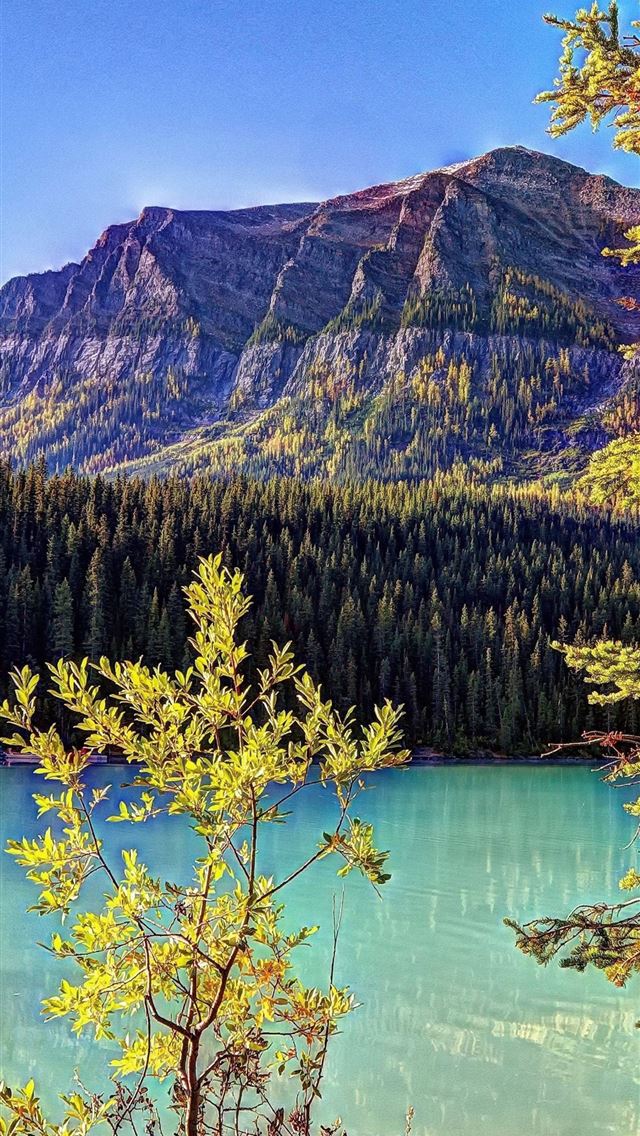 1284x2778 Lake Louise Banff National Park Alberta Canada Mou... - banff national park iPhone Wallpaper
