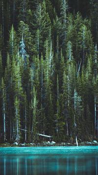 banff national park wallpaper