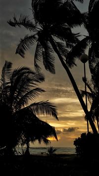 A picture I took in Sri Lanka that I love using as... wallpaper