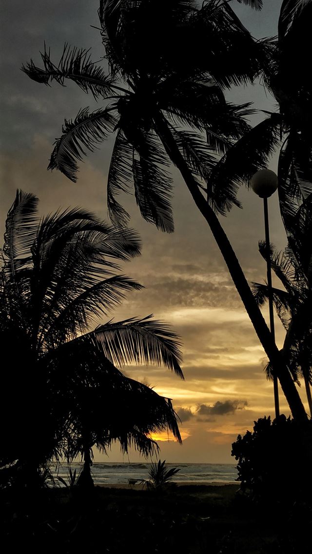 1284x2778 A picture I took in Sri Lanka that I love using as... - sri lanka iPhone Wallpaper