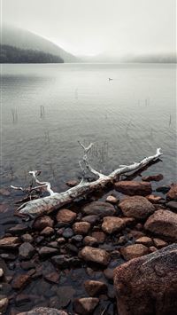 Afternoon mist over Jordan Pond in Acadia National... wallpaper