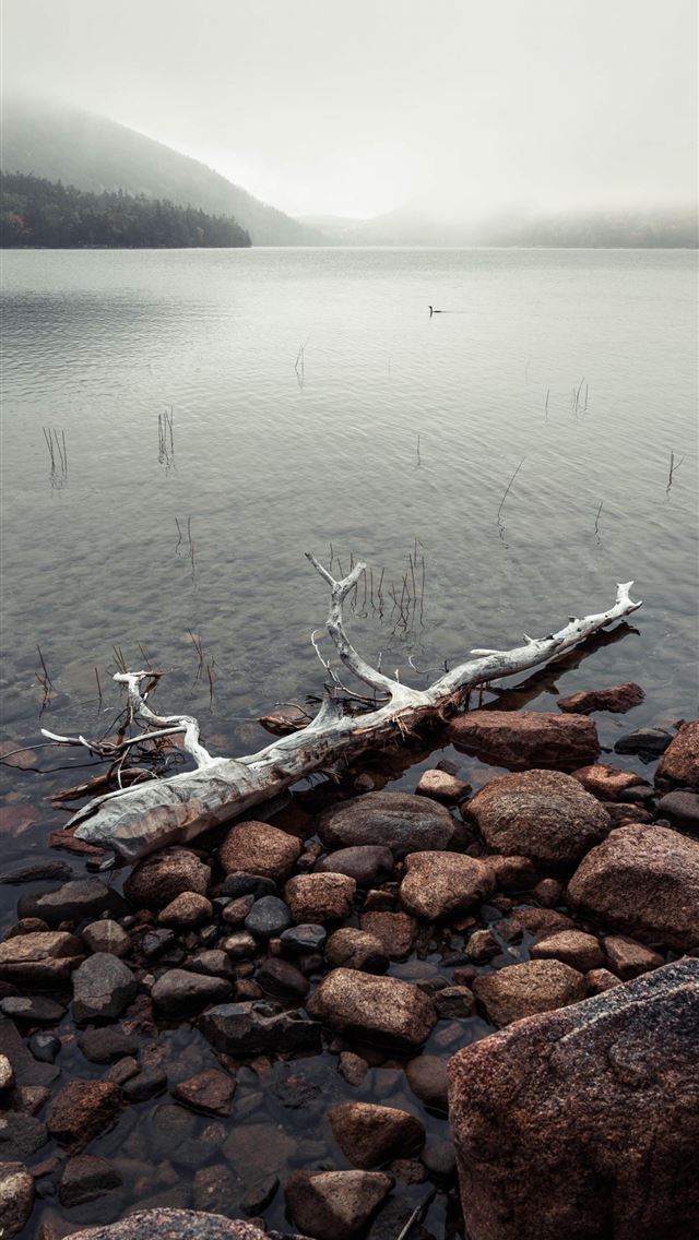 1284x2778 Afternoon mist over Jordan Pond in Acadia National... - acadia national park iPhone Wallpaper