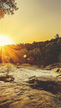 amazon river wallpaper