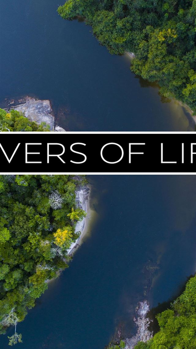 1284x2778 amazon river - amazon river iPhone Wallpaper