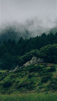 amazon river wallpaper