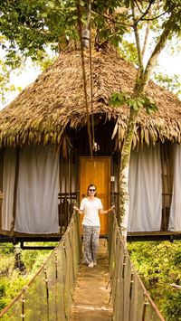 amazon river wallpaper