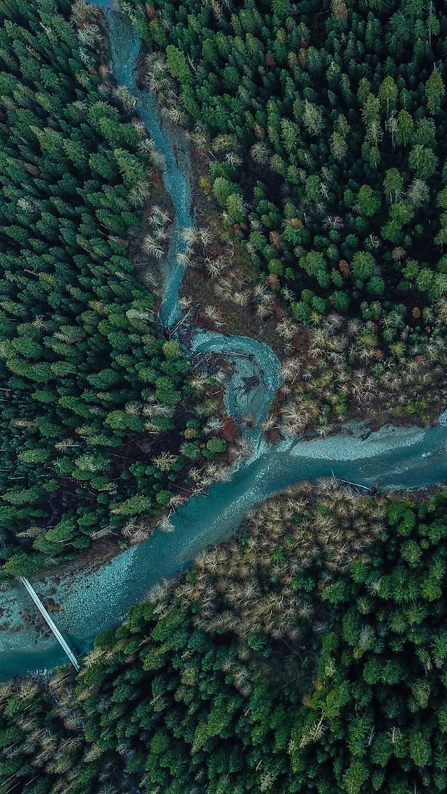 1284x2778 amazon river - amazon river iPhone Wallpaper