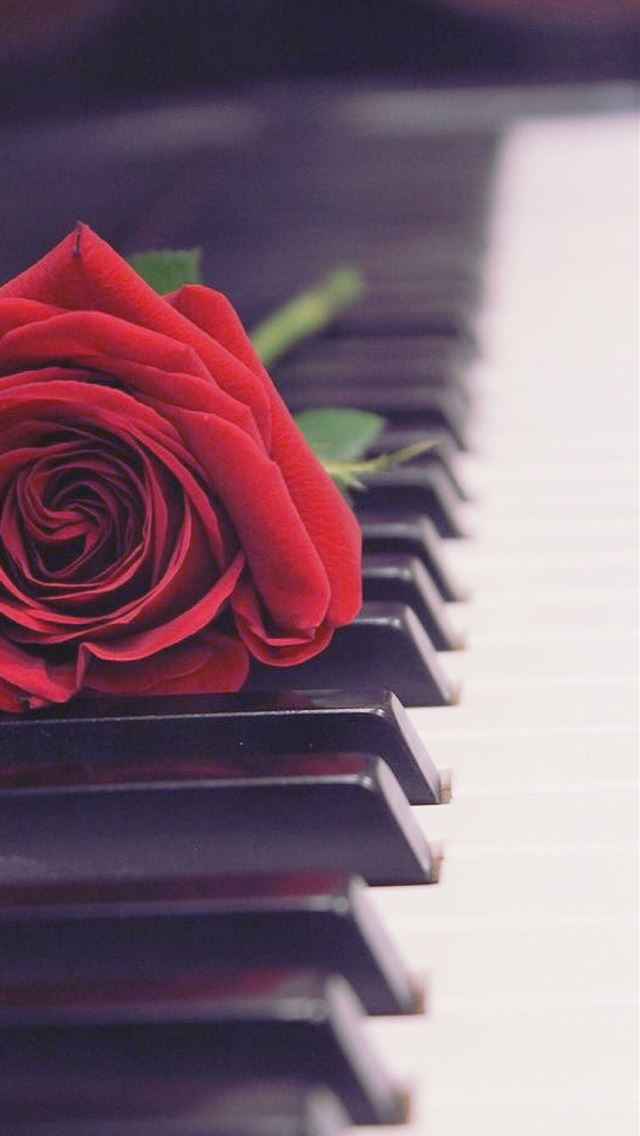 1284x2778 Piano Aesthetic Cave - piano iPhone Wallpaper