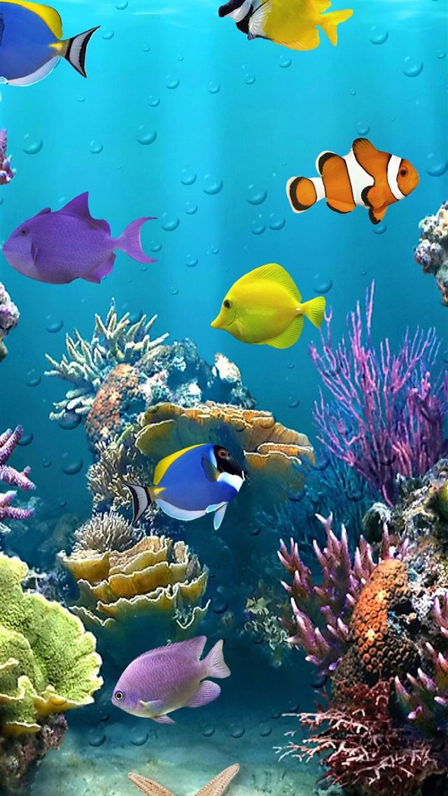 640x1136 aquarium -  iPhone Wallpaper