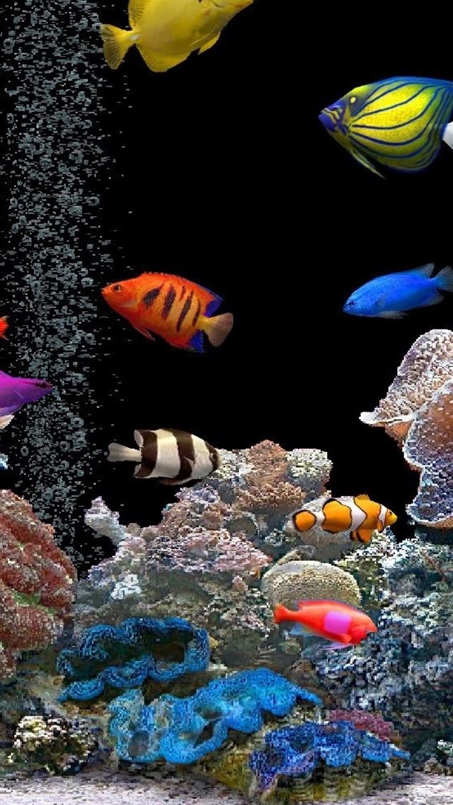 1284x2778 aquarium -  iPhone Wallpaper