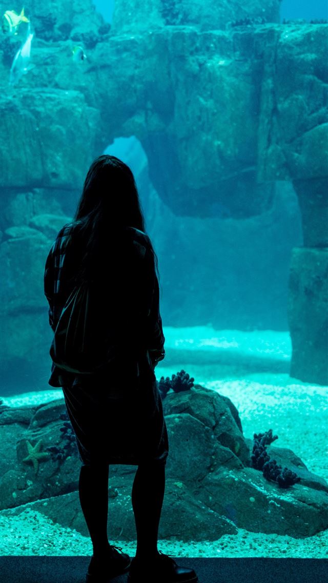 1284x2778 ID 262447 silhouette blue aquarium and oceanarium ... - aquarium iPhone Wallpaper