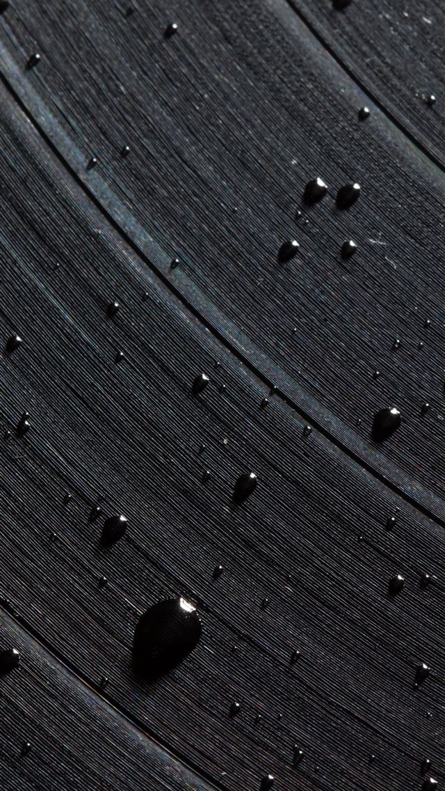 1284x2778 google pixel 2 xl - google pixel 2 xl iPhone Wallpaper