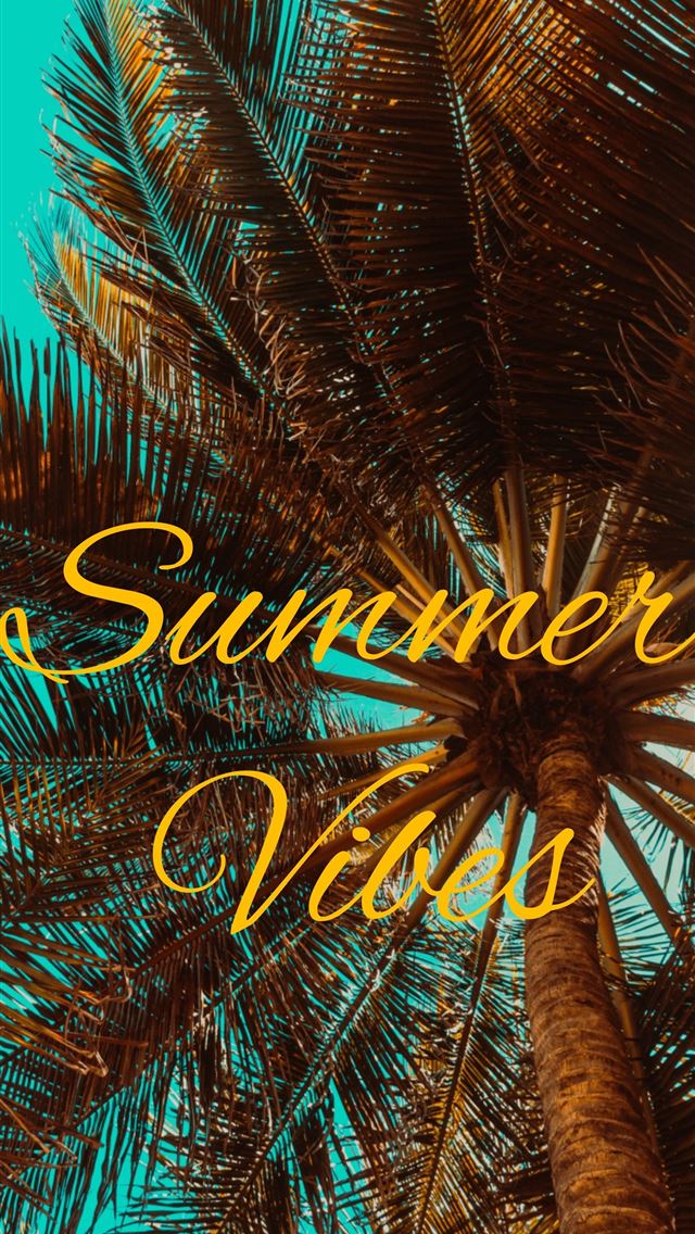 1284x2778 Summer Vibes Top Free Summer Vibes Backgrounds Acc... - Summer iPhone Wallpaper