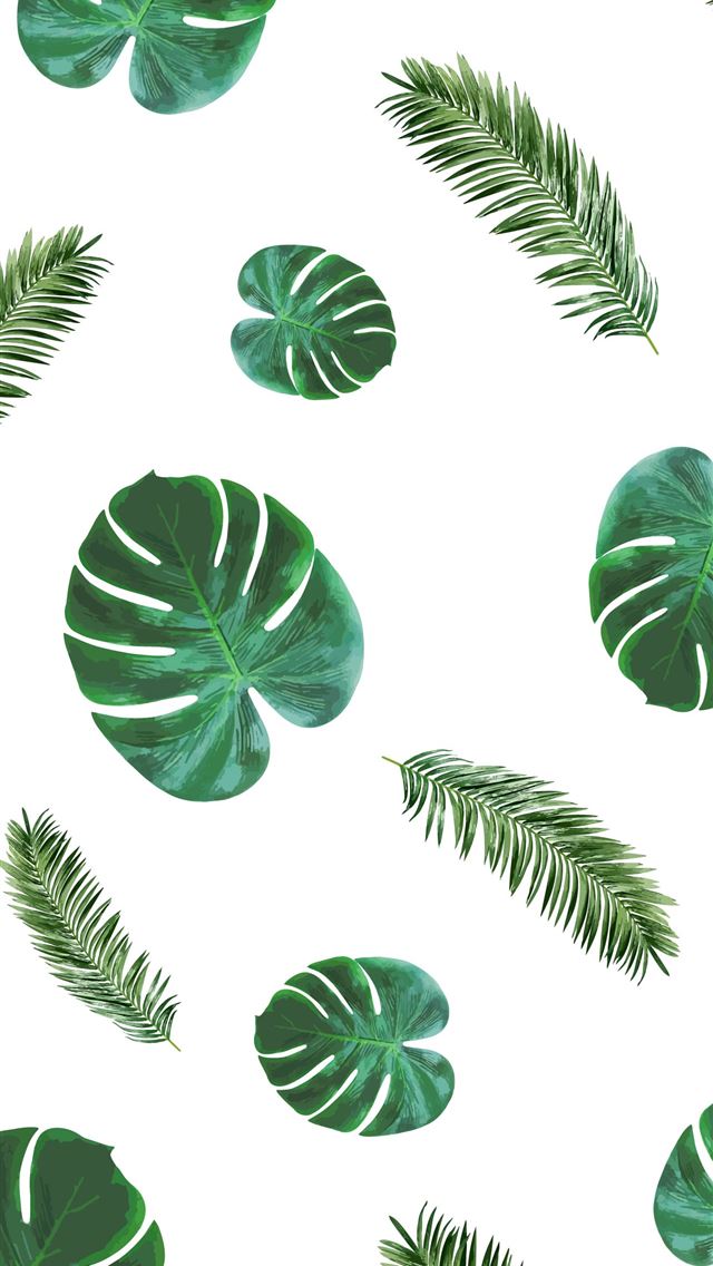 1284x2778 Summer for Summer Backgrounds for Your Phone - summer iPhone Wallpaper