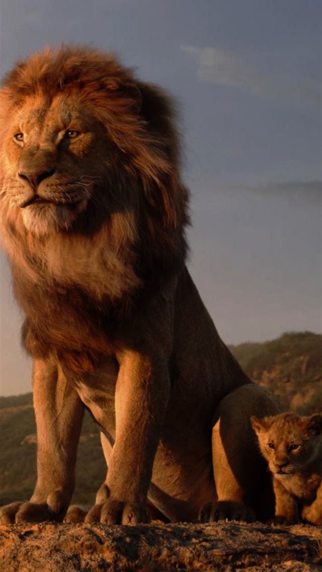 1284x2778 The Lion King 4k Samsung Galaxy Note 9 8 S9 S8 S8 ... - the lion king iPhone Wallpaper