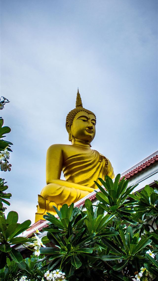 1284x2778 buddha buddhism sculpture statue plants hd backgro... - buddhism iPhone Wallpaper