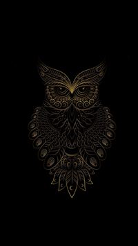 Best Owl iPhone HD Wallpapers - iLikeWallpaper