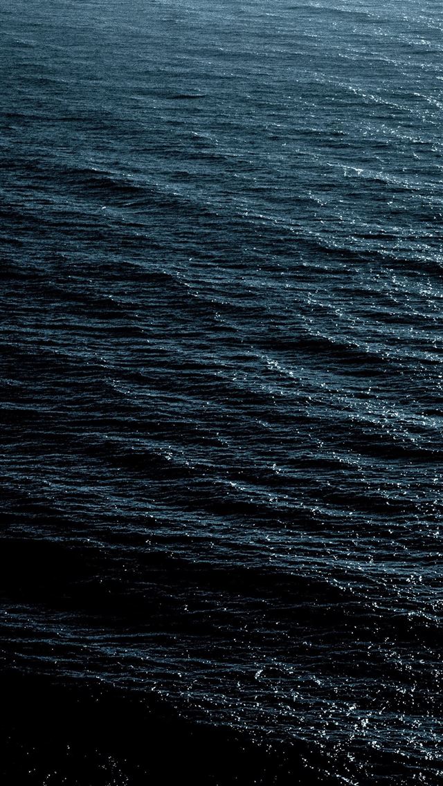 1284x2778 Black on Dog -  iPhone Wallpaper