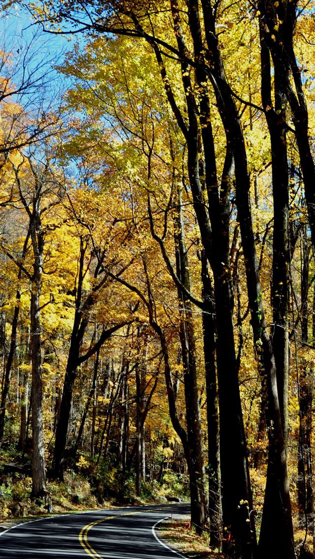 1284x2778 blue ridge parkway - blue ridge parkway iPhone Wallpaper