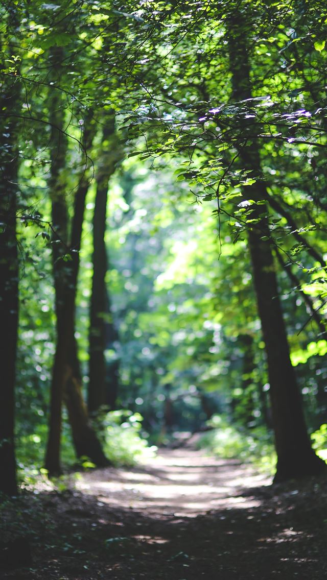 1284x2778 blue ridge parkway - blue ridge parkway iPhone Wallpaper