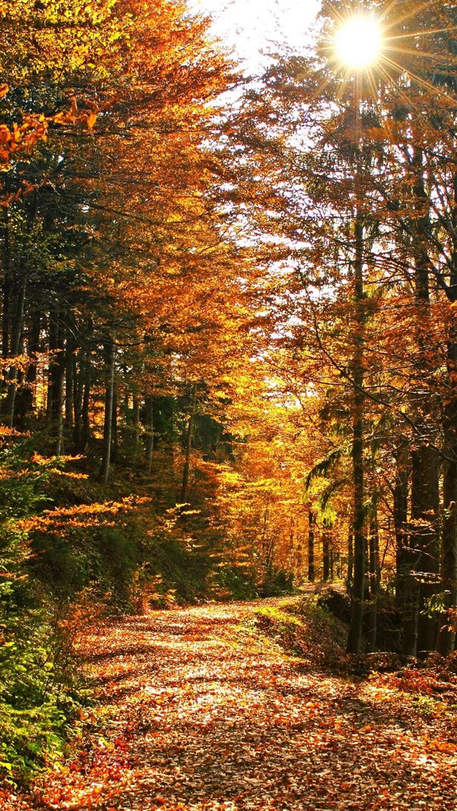 1284x2778 120 Appalchian Mountains ideas - appalachian mountains iPhone Wallpaper
