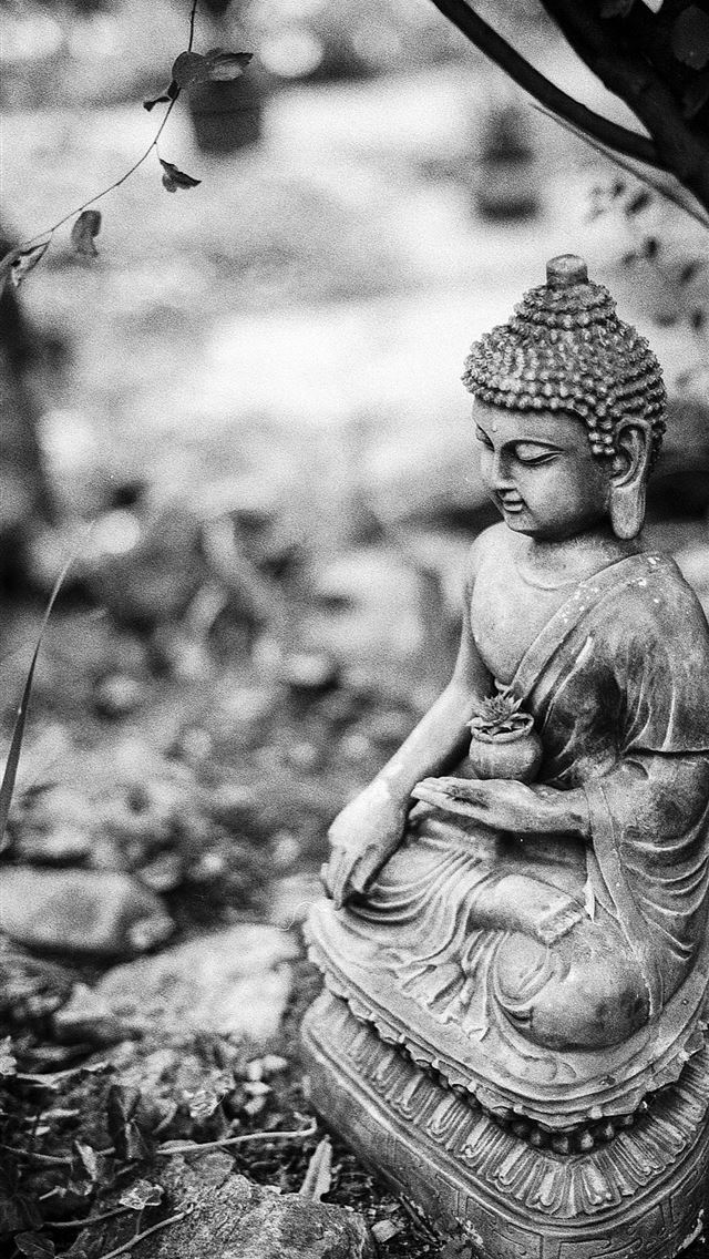 1284x2778 Dark Buddha Top Free Dark Buddha Backgrounds Acces... - buddha iPhone Wallpaper