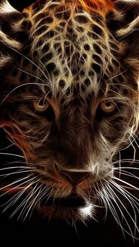 jaguar logo wallpaper