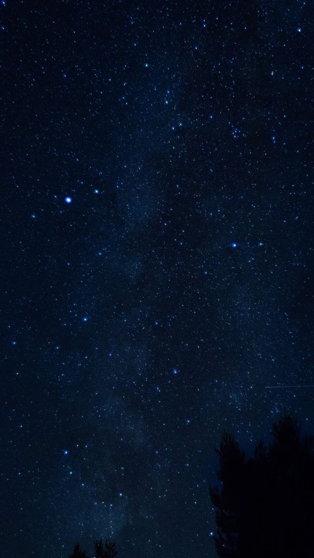 1284x2778 starry sky night trees croatia hd background - croatia iPhone Wallpaper