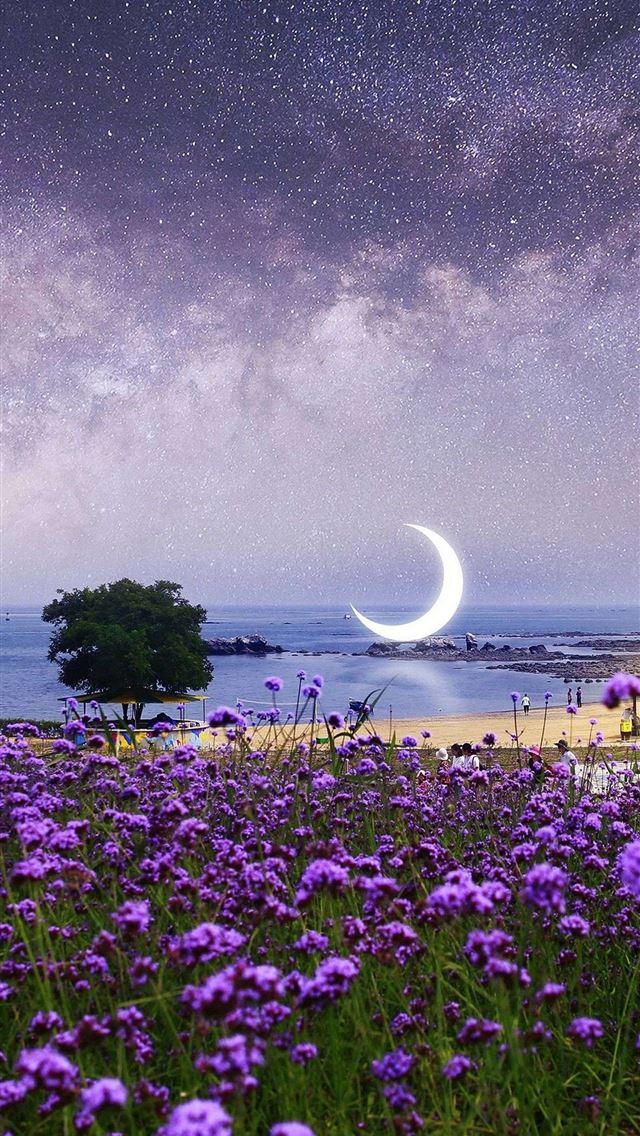 1284x2778 croatia - croatia iPhone Wallpaper