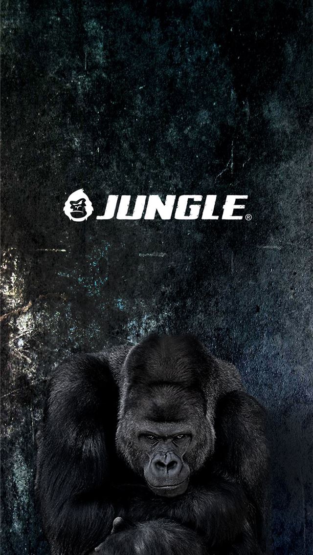 1284x2778 gorilla - gorilla iPhone Wallpaper