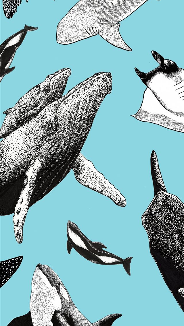 1125x2436 Orca Top Free Orca Access - orca iPhone Wallpaper