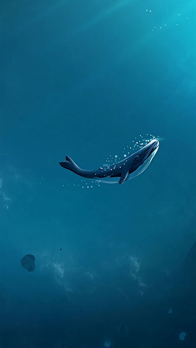 1284x2778 orca - orca iPhone Wallpaper