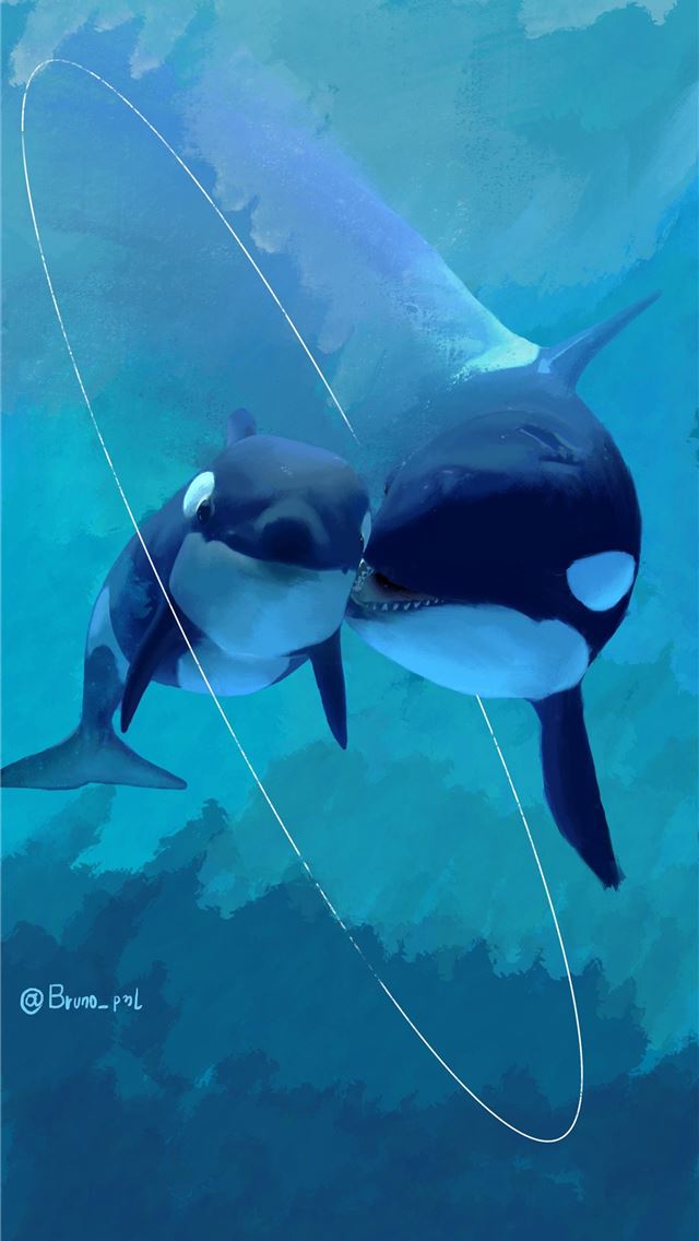 1284x2778 I loved that orca pic so much I made a painting ou... - orca iPhone Wallpaper