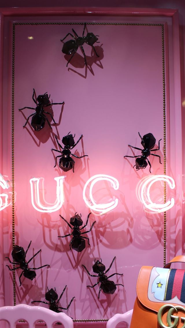 1284x2778 Pink Gucci on Dog - gucci iPhone Wallpaper