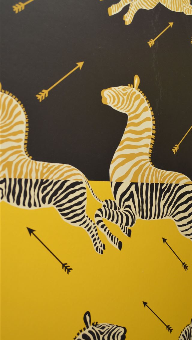 1284x2778 zebras - zebras iPhone Wallpaper