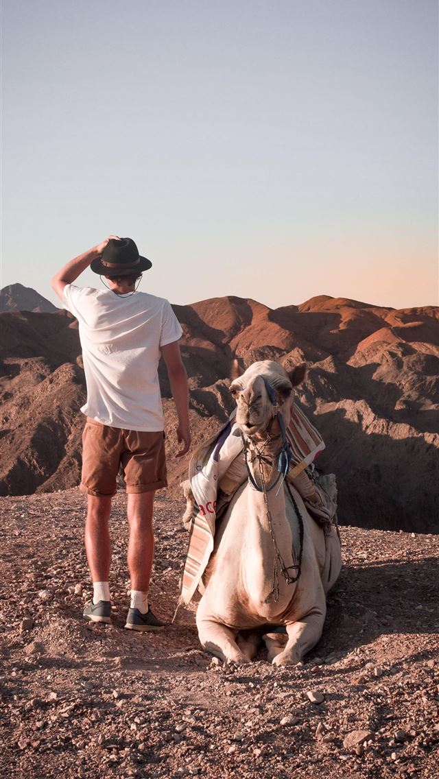 1284x2778 Israel posted by Ethan Walker - israel iPhone Wallpaper