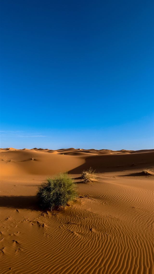 1284x2778  Sahara desert sand sky Cool1305499 HD WallHere - sahara iPhone Wallpaper