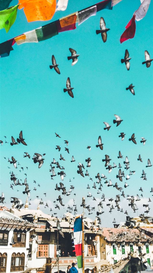 1284x2778 nepal - nepal iPhone Wallpaper
