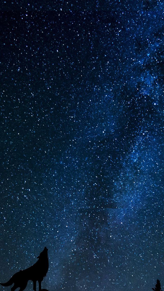 1284x2778 Wolf Howls at a Lunar Eclipse Galaxy S10 Hole Punc... - eclipse iPhone Wallpaper